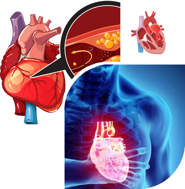 ayurvedic treatment for valve disease of heart problems naturally