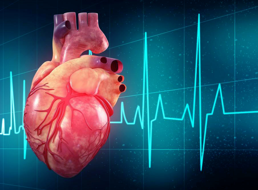 Ayurvedic Treatment for Heart Failure